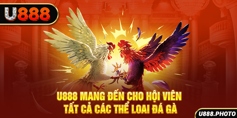 U888 mang đến cho hội viên tất cả các thể loai đá gà